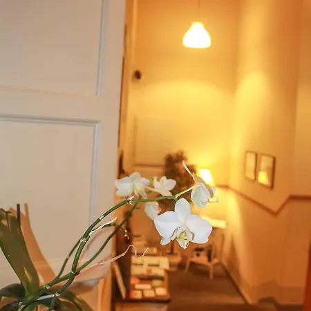 伊尔塞米纳里奥住宿加早餐酒店 3*